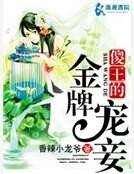 傻王的金牌宠妾