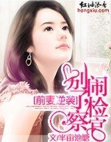 前妻逆袭：别闹了，检察官