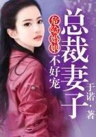 危险婚姻①总裁妻子不好哄