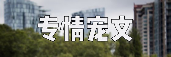 专情宠文&十七篇力荐作品